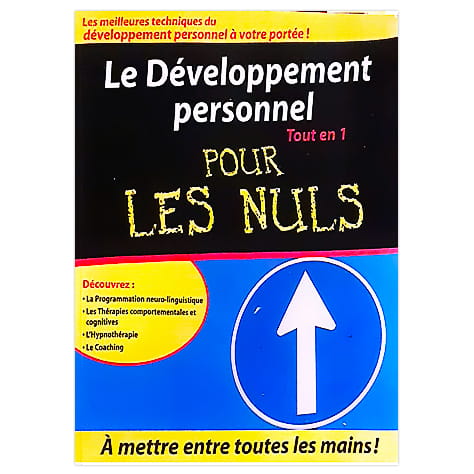 Le développement personnel tout en 1 pour les nuls